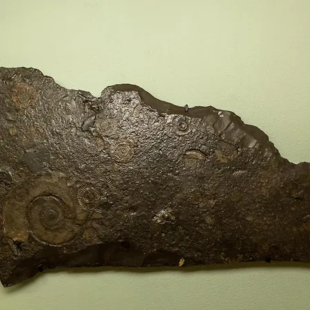 Gemuetliche 